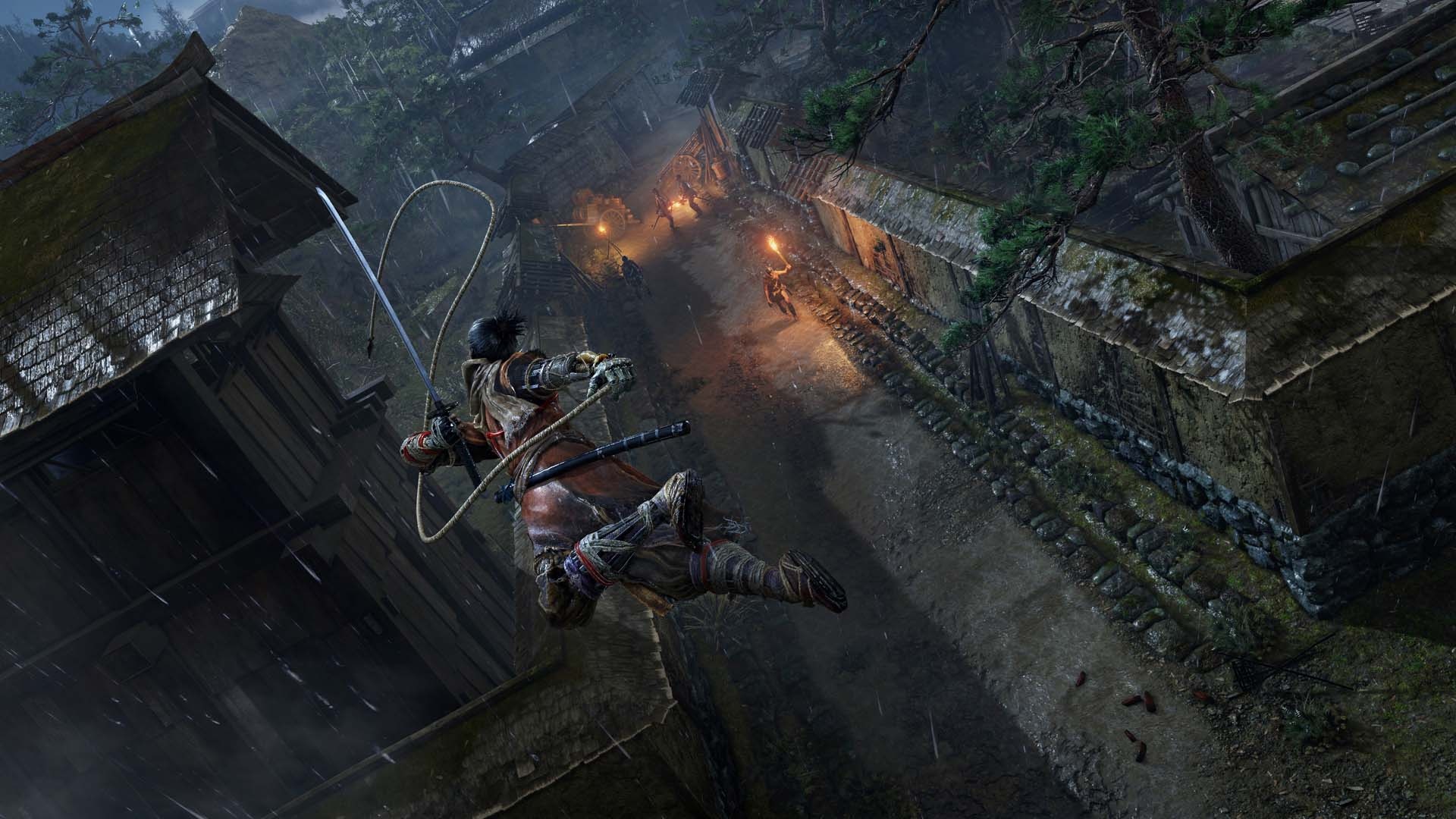 Sekiro: Shadows Die Twice — vue 4